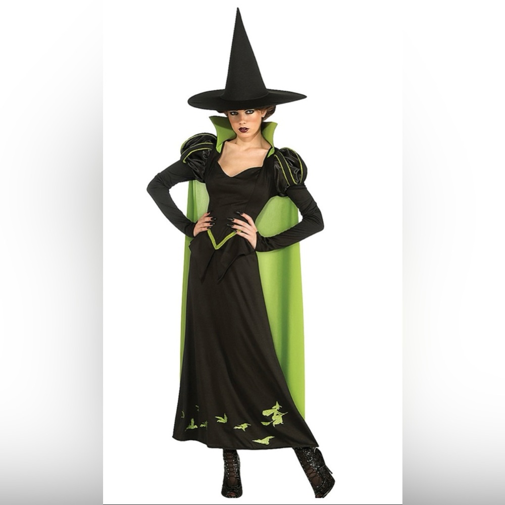 Wizard of Oz Wicked Witch Of The West Costume Womenโs OS